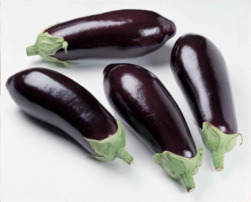 eggplants / aubergines