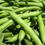 green beans / string beans