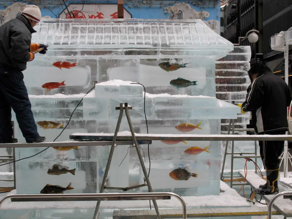 Susukino,IceFestival FrozenFish